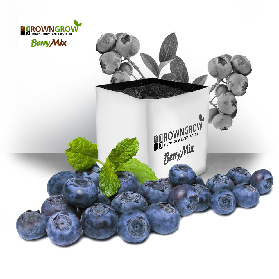 Universal Berry Mix (Blueberries)
